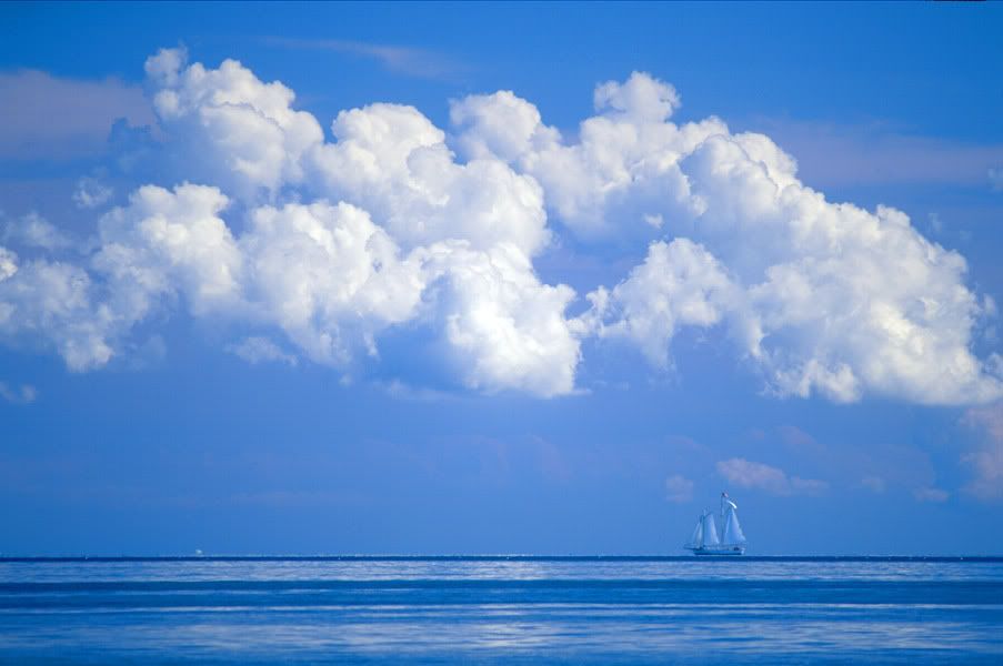 blue sky sailboat Pictures, Images and Photos