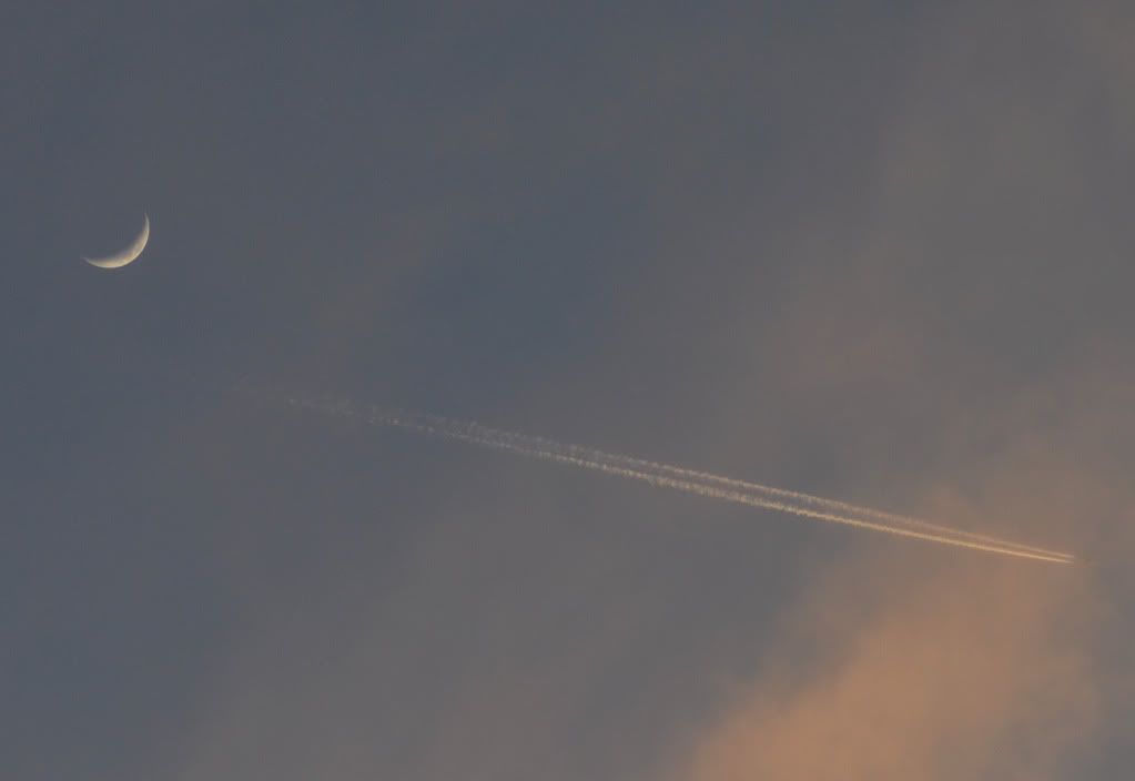 CSC_1330.jpg