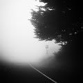 mist.jpg