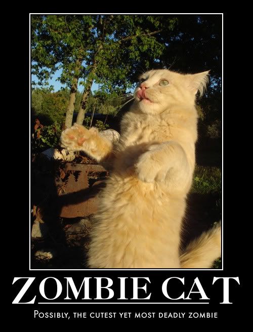 Zombie Cat Pictures, Images and Photos