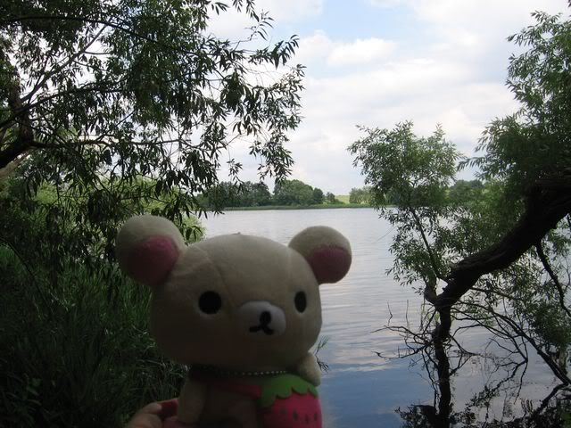 http://i649.photobucket.com/albums/uu215/RikeH_2009/A%20Gaeste/IMG_8580.jpg