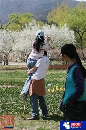 Nên xài cái gì để chống lại mấy thằng cướp chó ??? - 16