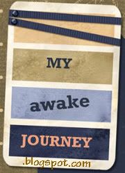 my awake journey