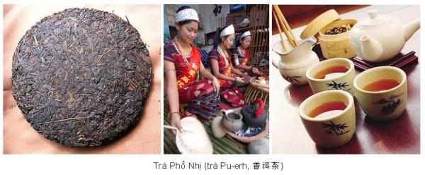 04-Tra Pho-Nhi