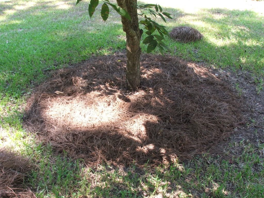 bed edging blades Lawn Care Forum