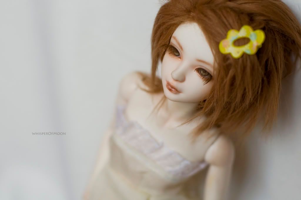 bjd IpleHause Tania doll mohair wig