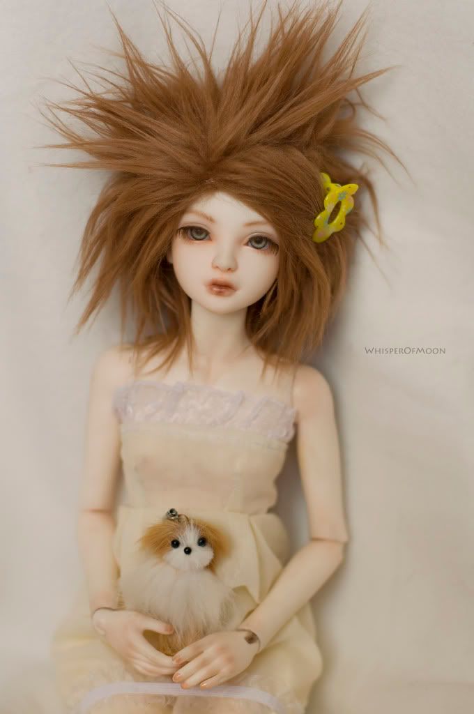 bjd IpleHause Tania doll mohair wig