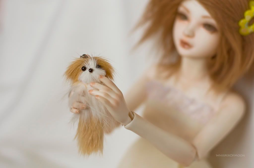 bjd IpleHause Tania doll mohair wig