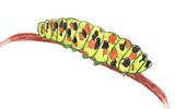  photo Caterpillar_2560_1600_zpsindzqd4c.jpg
