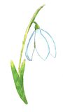  photo Snowdrop_2048_1152_zpsj82golix.jpg