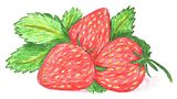  photo Strawberries_2560_1440_zpsyoipwhpt.jpg