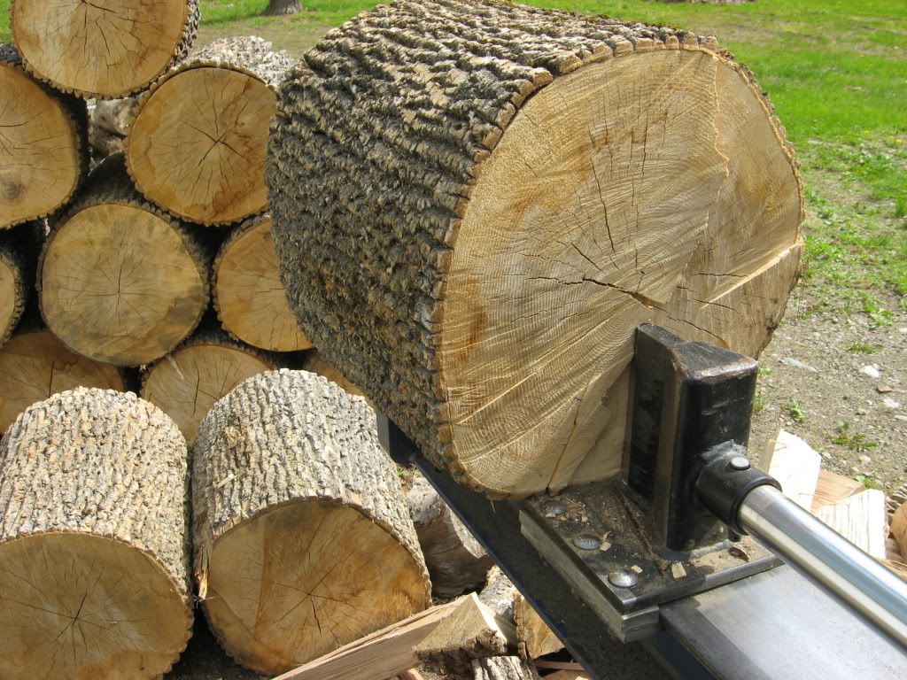 WoodBigAsh044.jpg