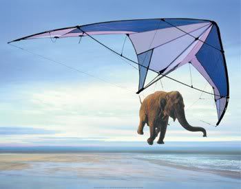 Hang Elephant