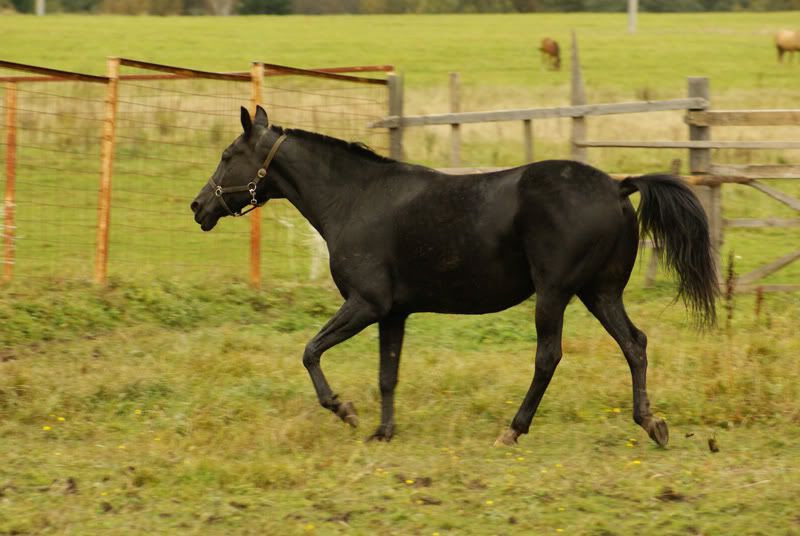 Kin04806.jpg