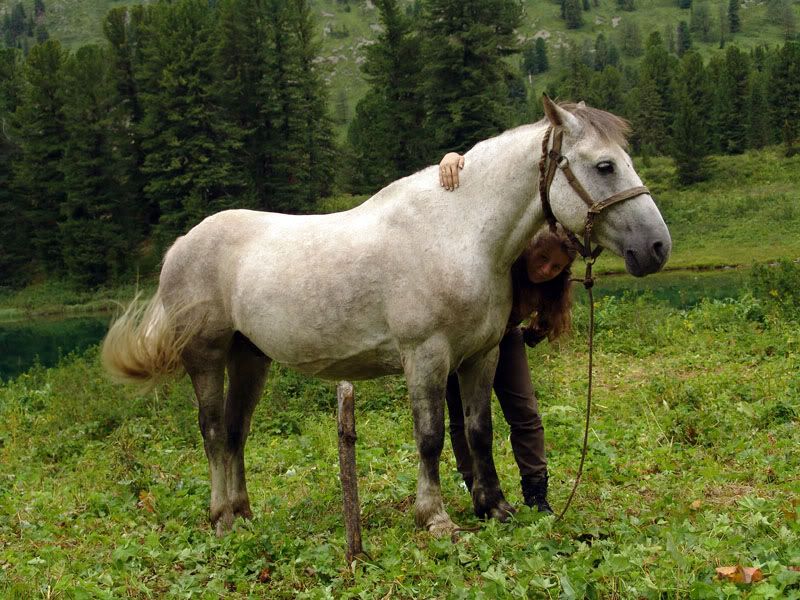 Altai06088.jpg