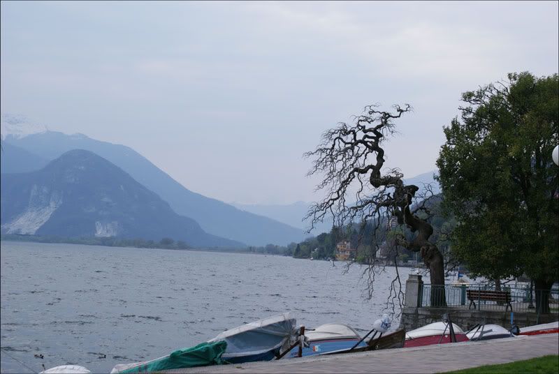 DSC01143-Verbania.jpg