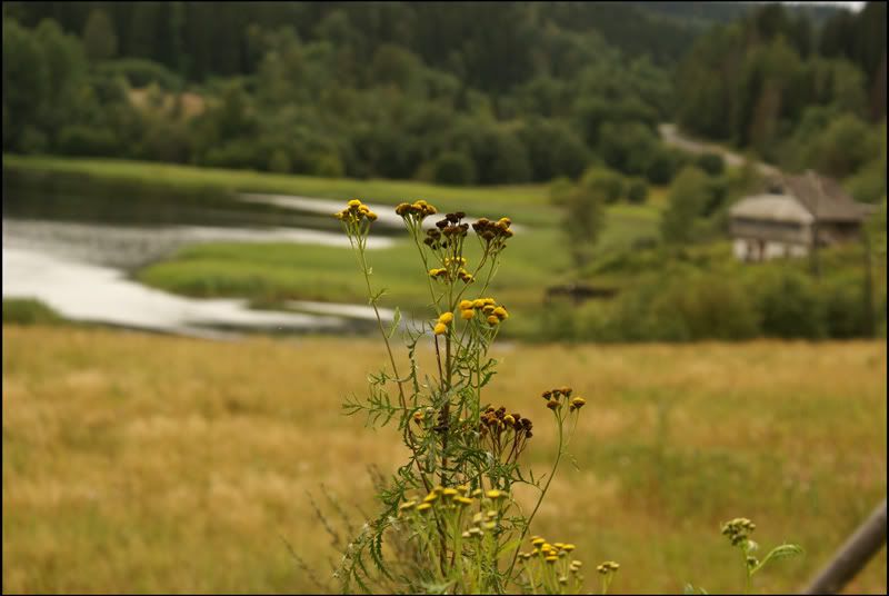 KarLadoga-way04087.jpg