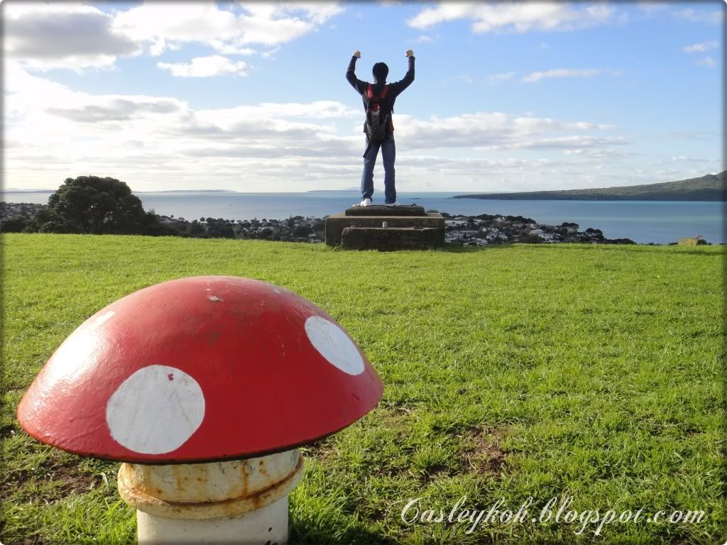 King of the World