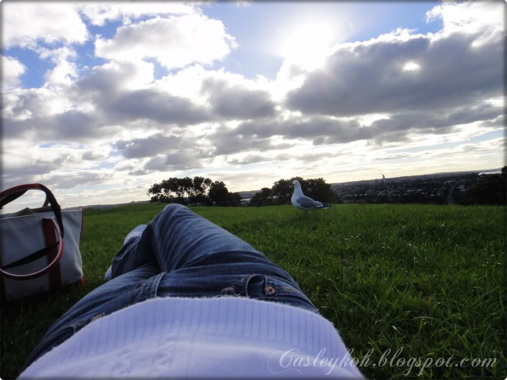 Devonport melts my heart!!!