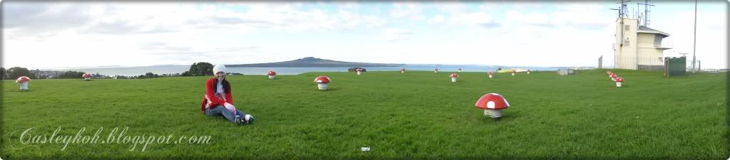 Princess @ Devonport