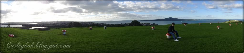 Prince @ Devonport