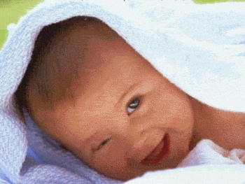 14.gif